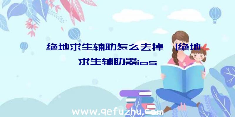 「绝地求生辅助怎么去掉」|绝地求生辅助器ios